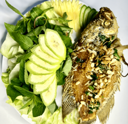 CÁ TAI TƯỢNG CHIÊN XÙ