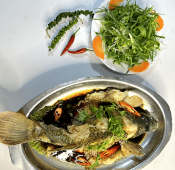 CÁ TAI TƯỢNG HẤP HỒNG KÔNG