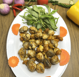 SÒ HUYẾT CHÁY TỎI