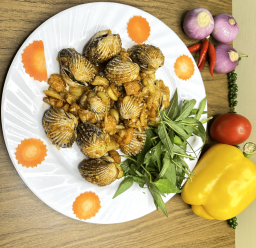 SÒ HUYẾT CỒ CHÁY TỎI