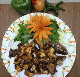 CÁ LÓC PHI LÊ CHIÊN SẢ