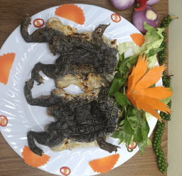 ẾCH NƯỚNG MỌI