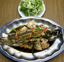 CÁ MÚ HẤP HỒNG KÔNG