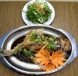 CÁ MÚ HẤP HONGKONG