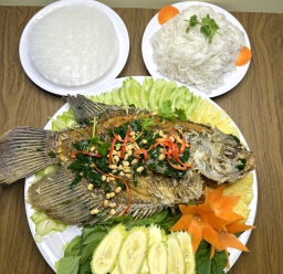 TAI TƯỢNG CHIÊN XÙ