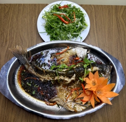 TAI TƯỢNG HẤP HONGKONG