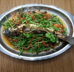 TAI TƯỢNG CHƯNG TƯƠNG